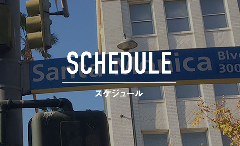 スケジュール
