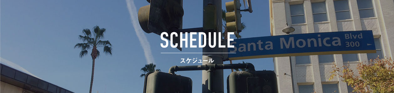 スケジュール